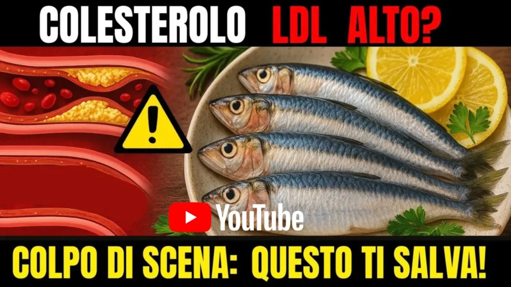 Guarda su YouTube il video su pesce azzurro e colesterolo